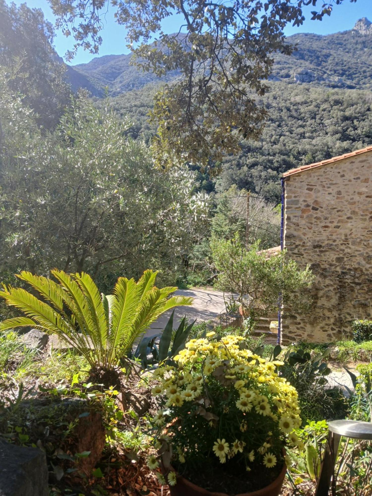 La Bergerie Sorède Exterior foto