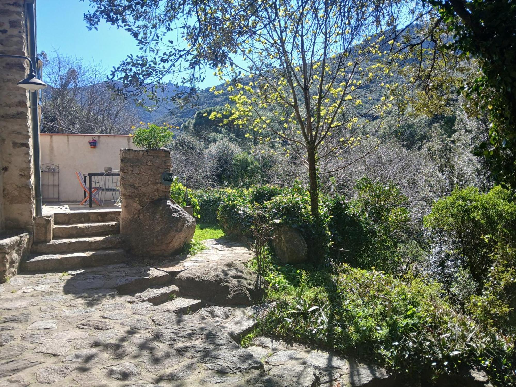 La Bergerie Sorède Exterior foto